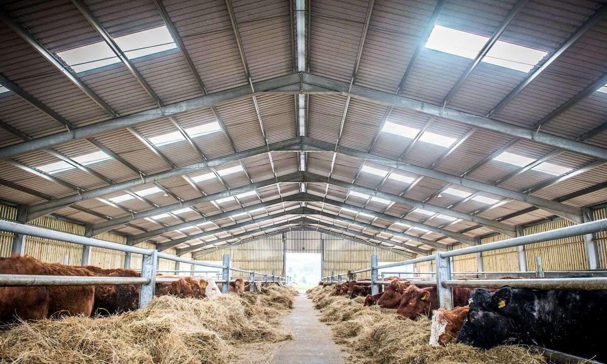 Steel Structure Farmhouse - Steel structure solution